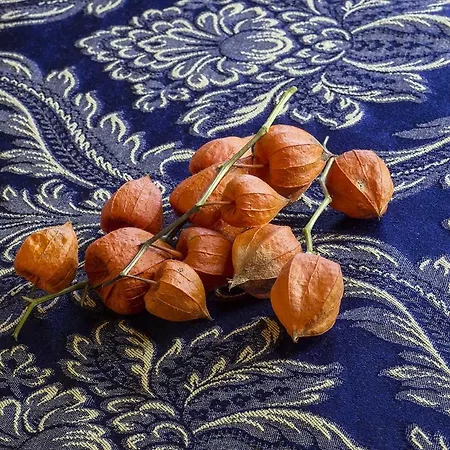 Hotel Osteria Pasina