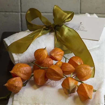 Osteria Pasina Hotel *