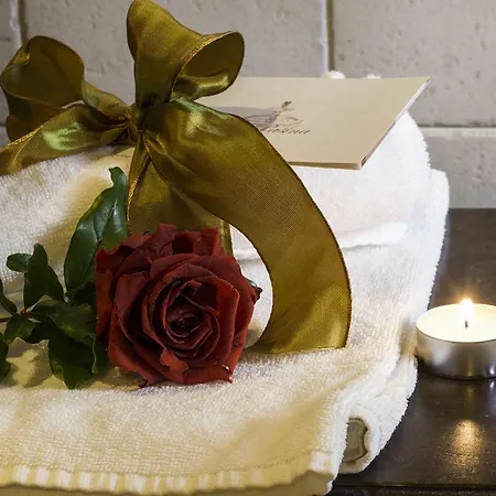 奥斯特里亚阿拉帕斯那酒店 Dosson